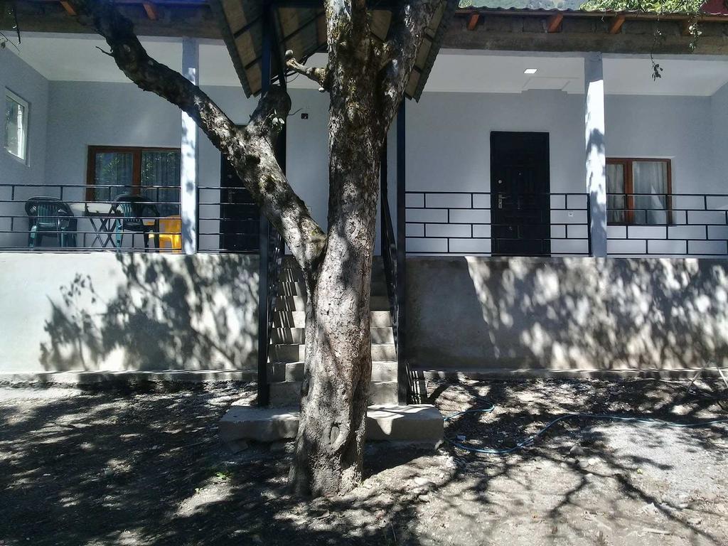 Hotel Ori Beli in Mestia Esterno foto